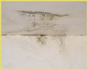 Boca Raton Water & Mold Damage Boca Raton, FL 561-299-5589 Boca Raton Water & Mold Damage Boca Raton, FL 561-299-5589 - mold-remedy