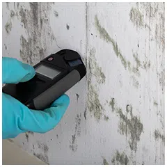 Boca Raton Water & Mold Damage Boca Raton, FL 561-299-5589 - sb-services-03